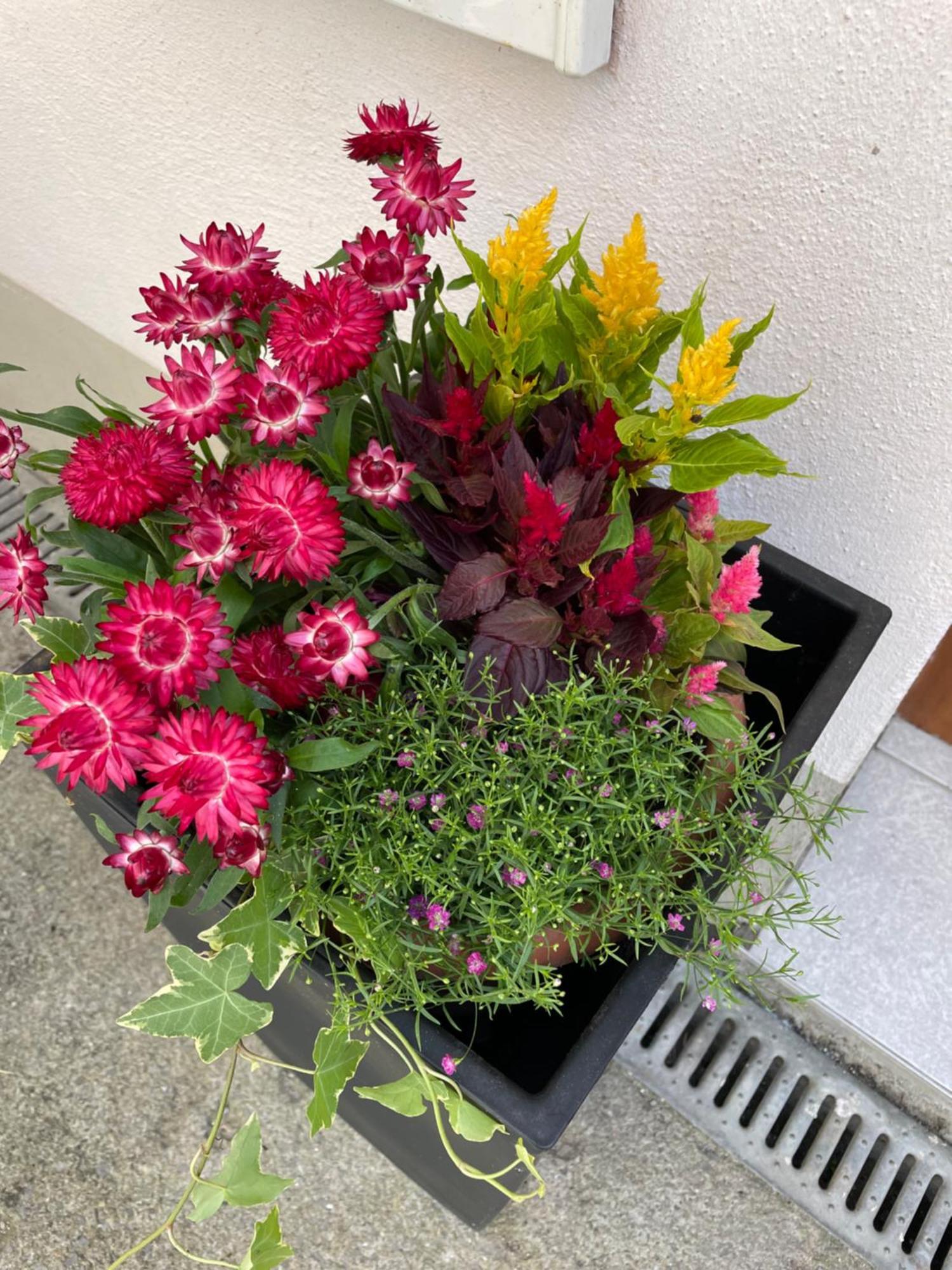 Ferienwohnung Emma An Der Romantischen Strasse Weikersheim Zewnętrze zdjęcie